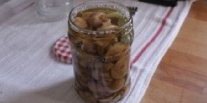 Рецепт маринованных маслят за сутки