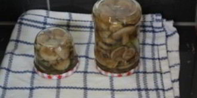 Рецепт маринованных маслят за сутки