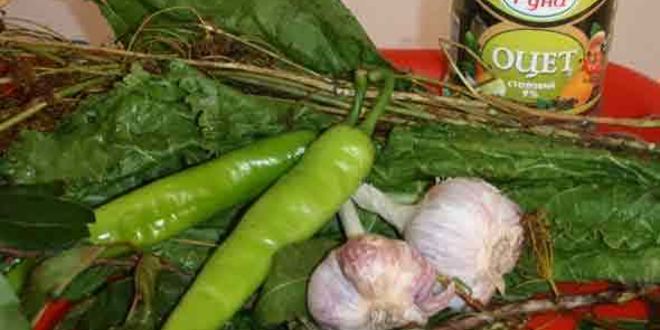 Рецепт маринованных огурчиков