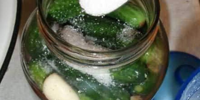 Рецепт маринованных огурчиков