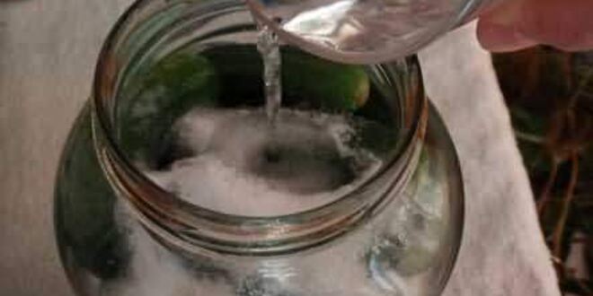 Рецепт маринованных огурчиков