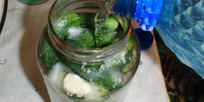 Рецепт маринованных огурчиков