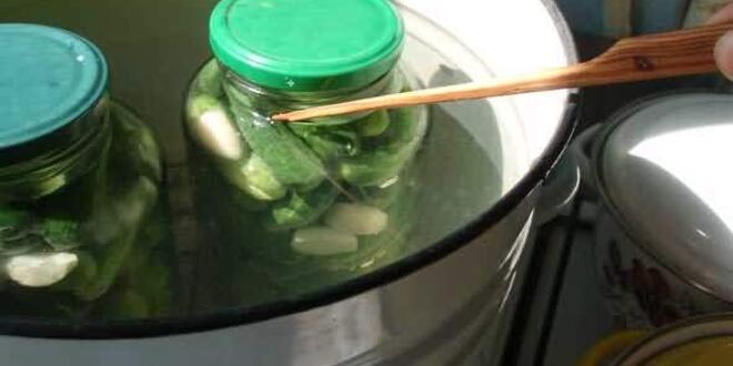 Рецепт маринованных огурчиков