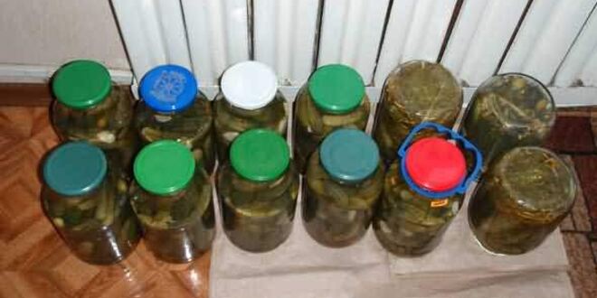 Рецепт маринованных огурчиков