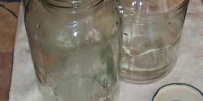 Рецепт маринованных огурчиков