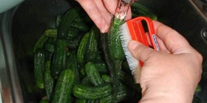 Рецепт маринованных огурчиков