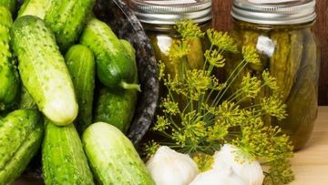 Рецепт Маринованных огурцов Globus