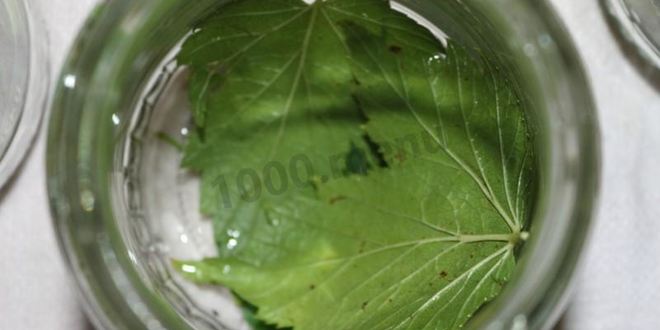 Рецепт маринованных огурцов globus