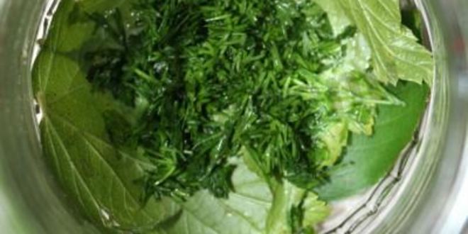 Рецепт маринованных огурцов globus