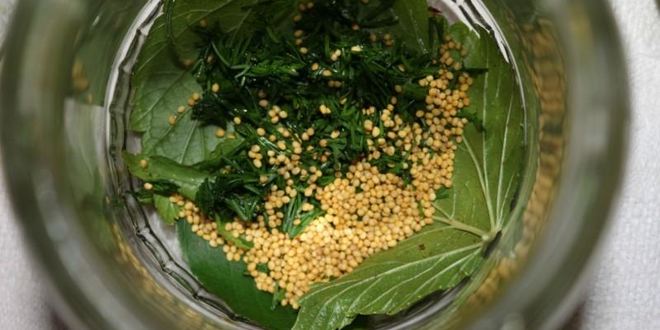 Рецепт маринованных огурцов globus