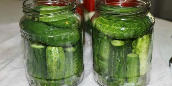 Рецепт маринованных огурцов globus