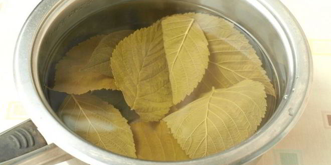 Рецепт маринованных огурцов по-польски