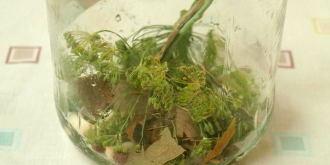 Рецепт маринованных огурцов по-польски