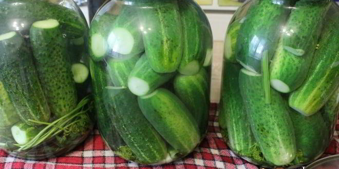 Рецепт маринованных огурцов