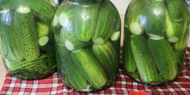 Рецепт маринованных огурцов