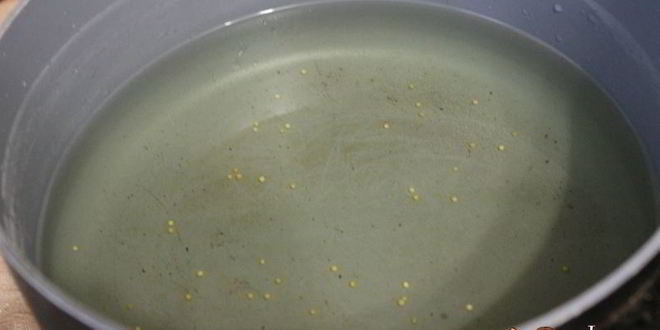 Рецепт маринованных огурцов