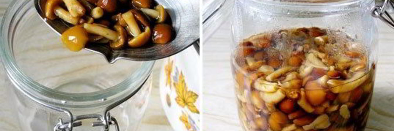 Рецепт Маринованных опят без закатки