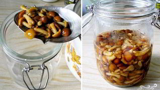 Рецепт Маринованных опят без закатки