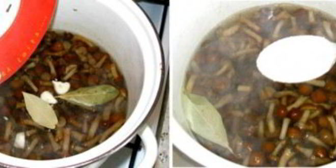 Рецепт маринованных опят без закатки