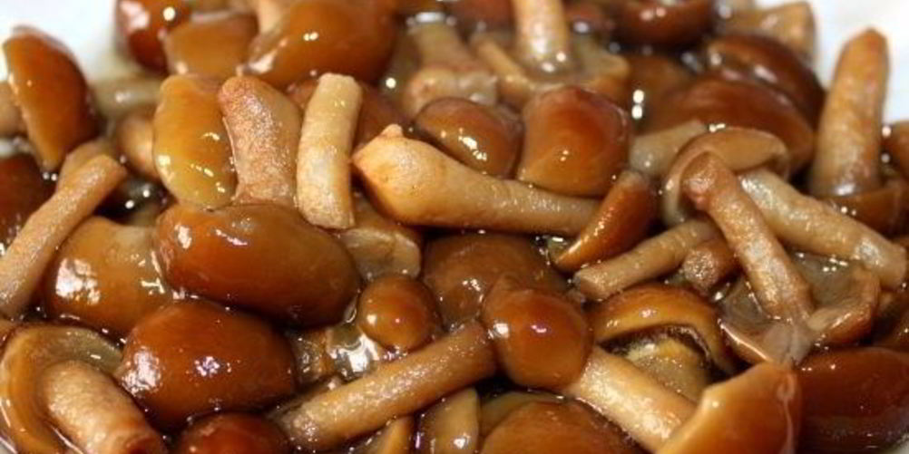 Как приготовить маринованные опята в мультиварке