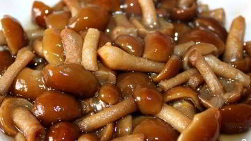Рецепт Маринованных опят в мультиварке