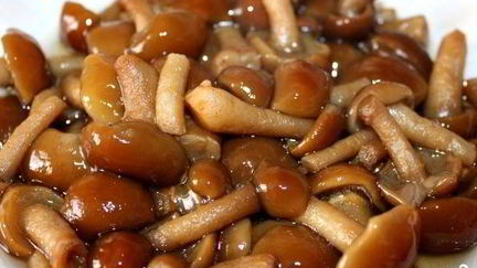 Рецепт Маринованных опят в мультиварке