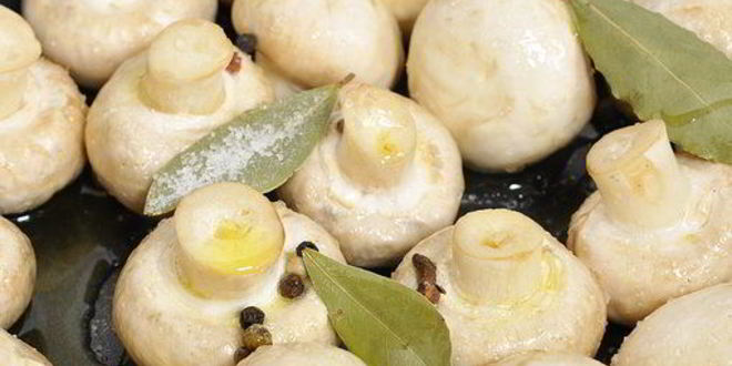Рецепт маринованных шампиньонов