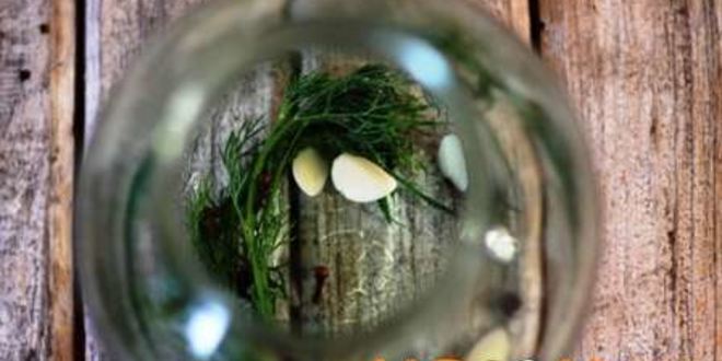 Рецепт огурцов маринованных хрустящих