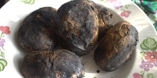 Рецепт овощей суточного маринования