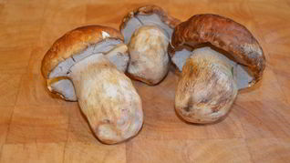 Рецепт маринованных грибов