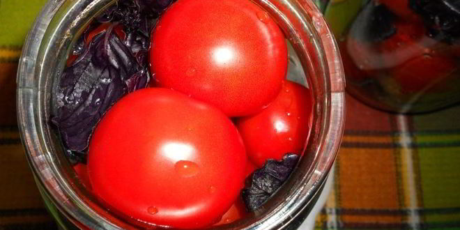 Рецепт помидоров маринованных с базиликом и яблочным уксусом