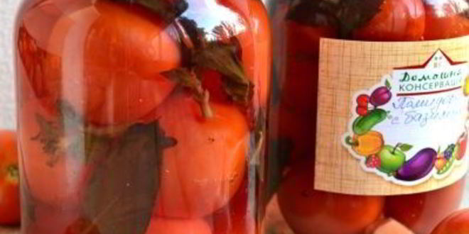 Рецепт помидоров маринованных с базиликом и яблочным уксусом