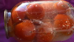 Рецепт Томатов маринованных Снежных