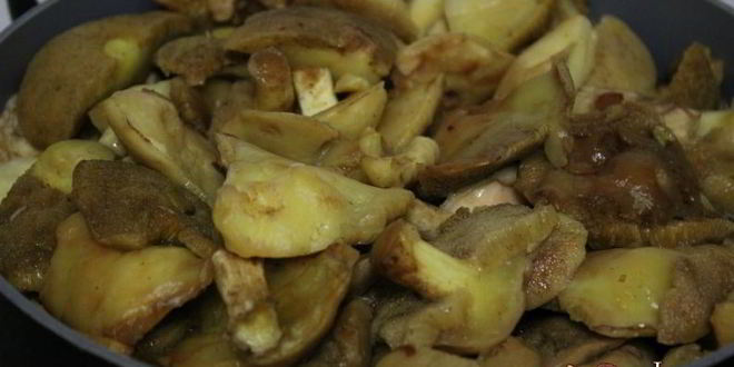 Рецепт маслят, замороженных на зиму