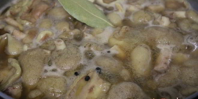 Рецепт маслят, замороженных на зиму