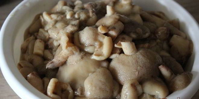 Рецепт маслят, замороженных на зиму