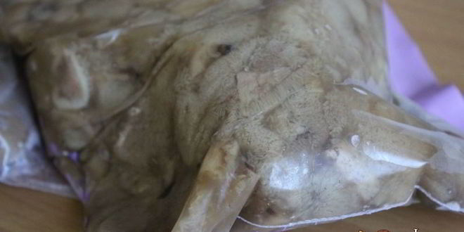 Рецепт маслят, замороженных на зиму