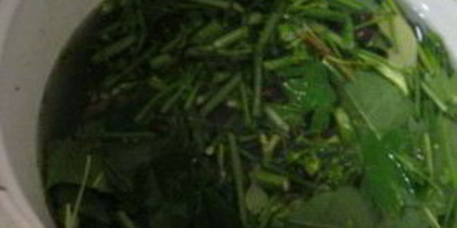 Рецепт острых огурчиков на зиму