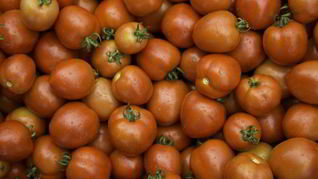 Рецепт Помидоров в мультиварке на зиму