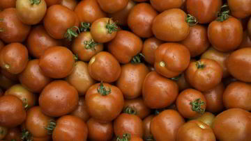 Рецепт Помидоров в мультиварке на зиму