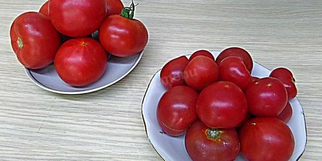 Рецепт помидоров в собственном соку пальчики оближешь на зиму