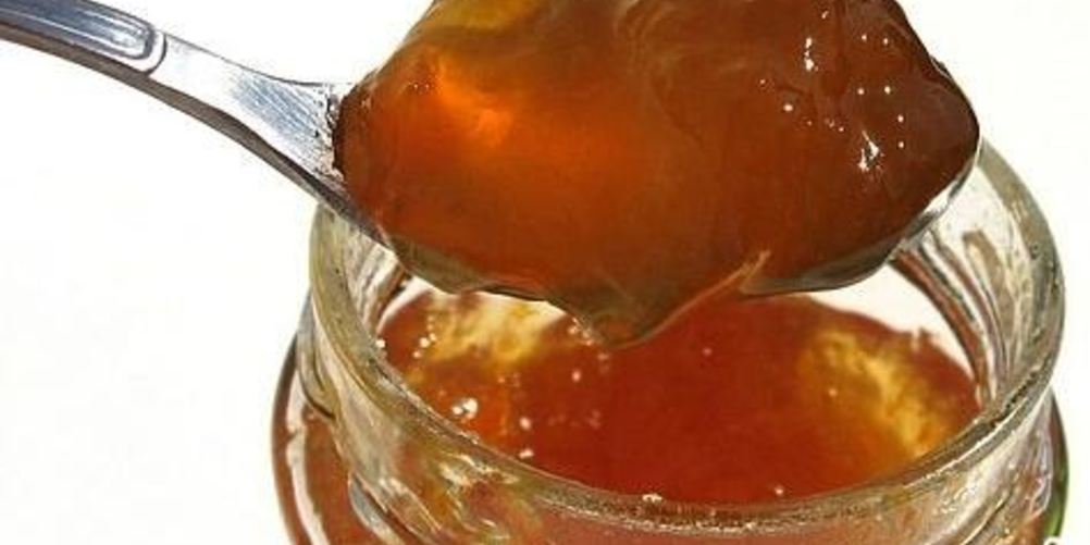 Как приготовить повидло из брусники