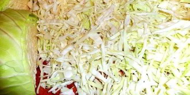 Рецепт быстрой капусты горячим способом в рассоле