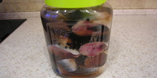 Рецепт домашней малосольной сельди