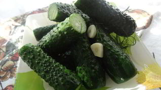 Рецепт Хрустящих малосольных огурчиков