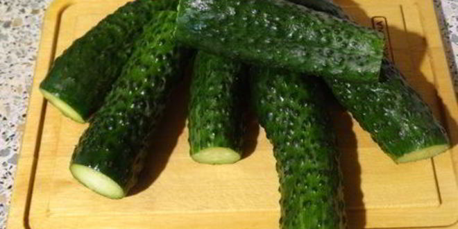 Рецепт хрустящих малосольных огурчиков