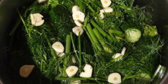 Рецепт хрустящих малосольных огурчиков