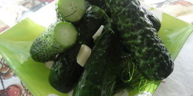 Рецепт хрустящих малосольных огурчиков