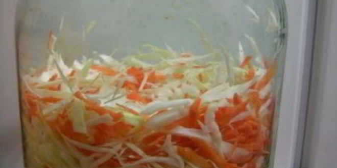 Рецепт малосольной капусты с морковью