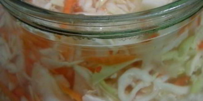 Рецепт малосольной капусты с морковью